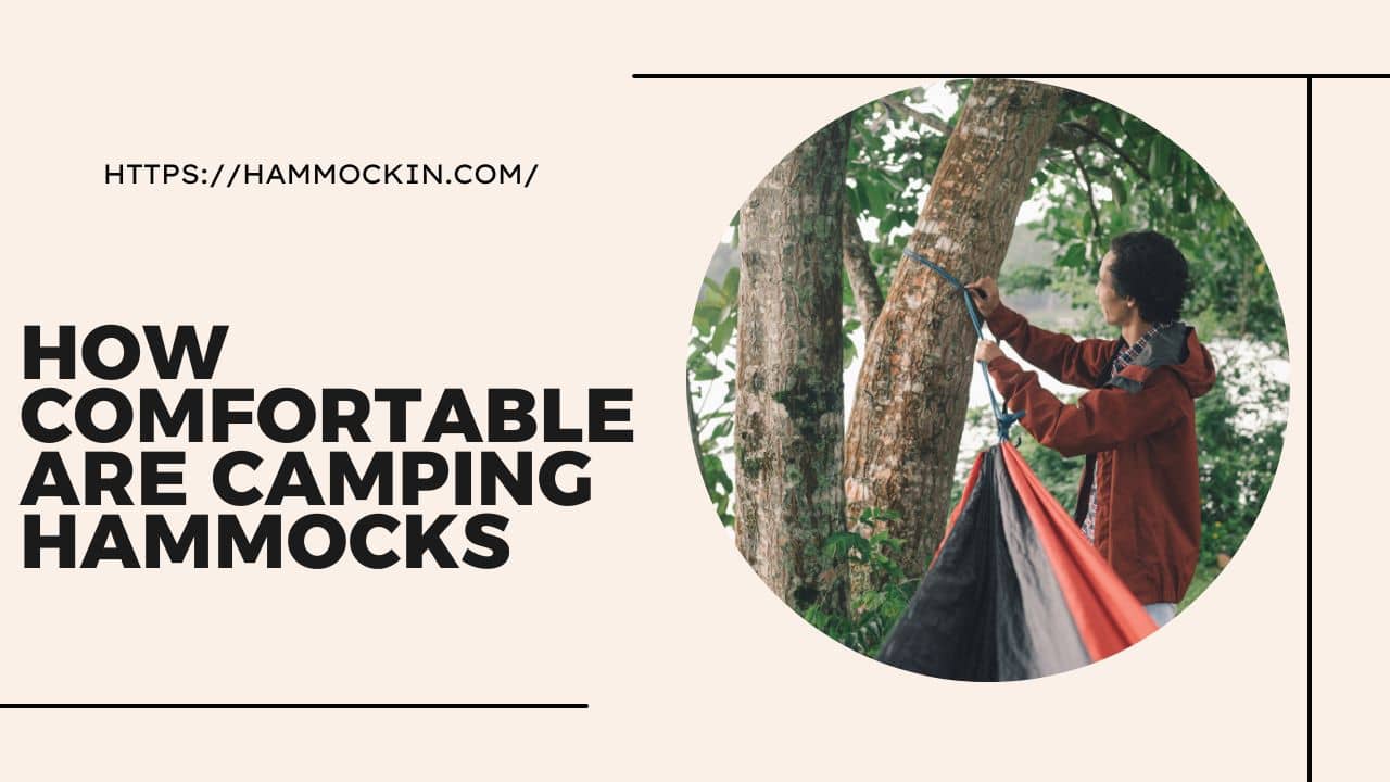 How Comfortable are Camping Hammocks